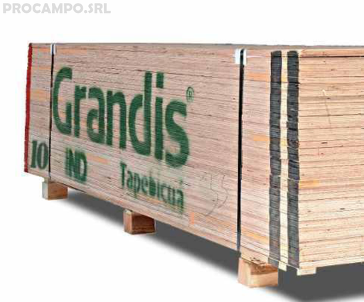 Fenolico 10mm eucalipto Grandis