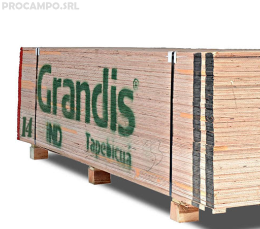 Fenolico 15mm eucalipto Grandis 