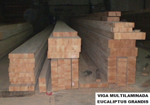 Vigas Laminadas de Eucalipto